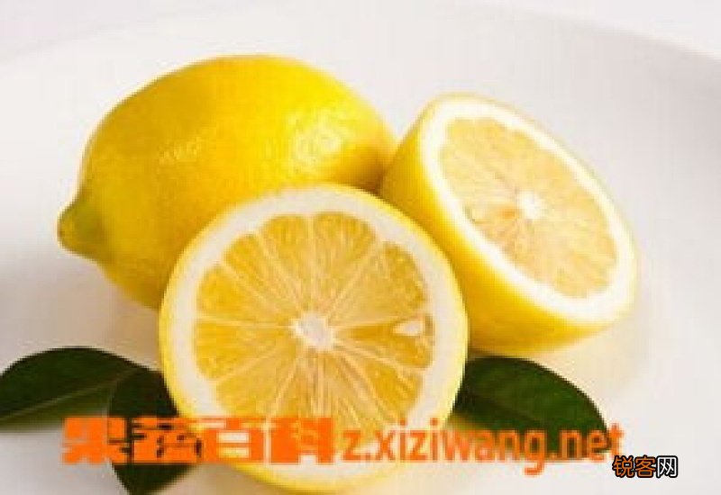 柠檬汁怎么保存不坏 柠檬汁有哪些功效
