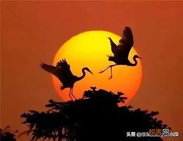 影视剧中以大人物或小人物为主角,更喜欢哪种？为什么？