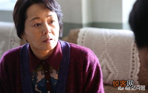 为何《辩护人》这部电影在豆瓣和IMDb上评分差距这么大？