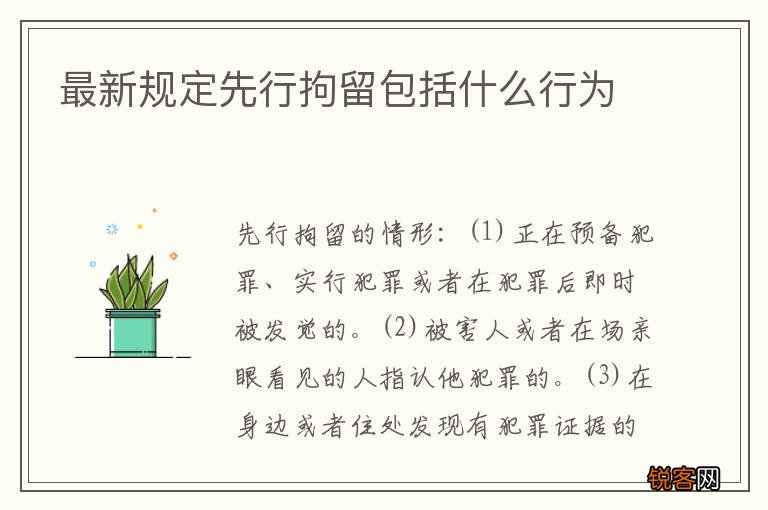 最新规定先行拘留包括什么行为