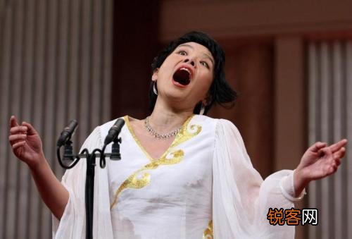 龚琳娜和张柏芝谁漂亮？
