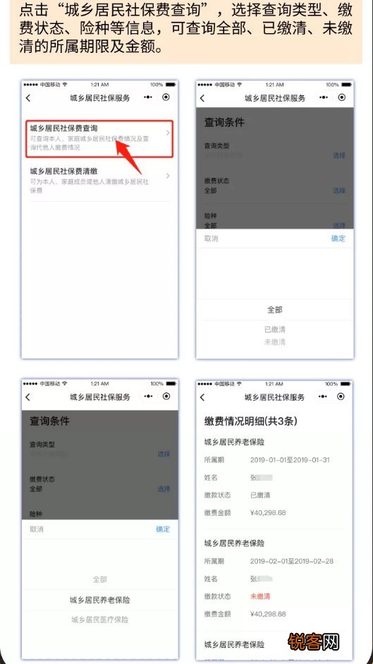渠道+流程 湛江城乡养老保险缴费怎么查询