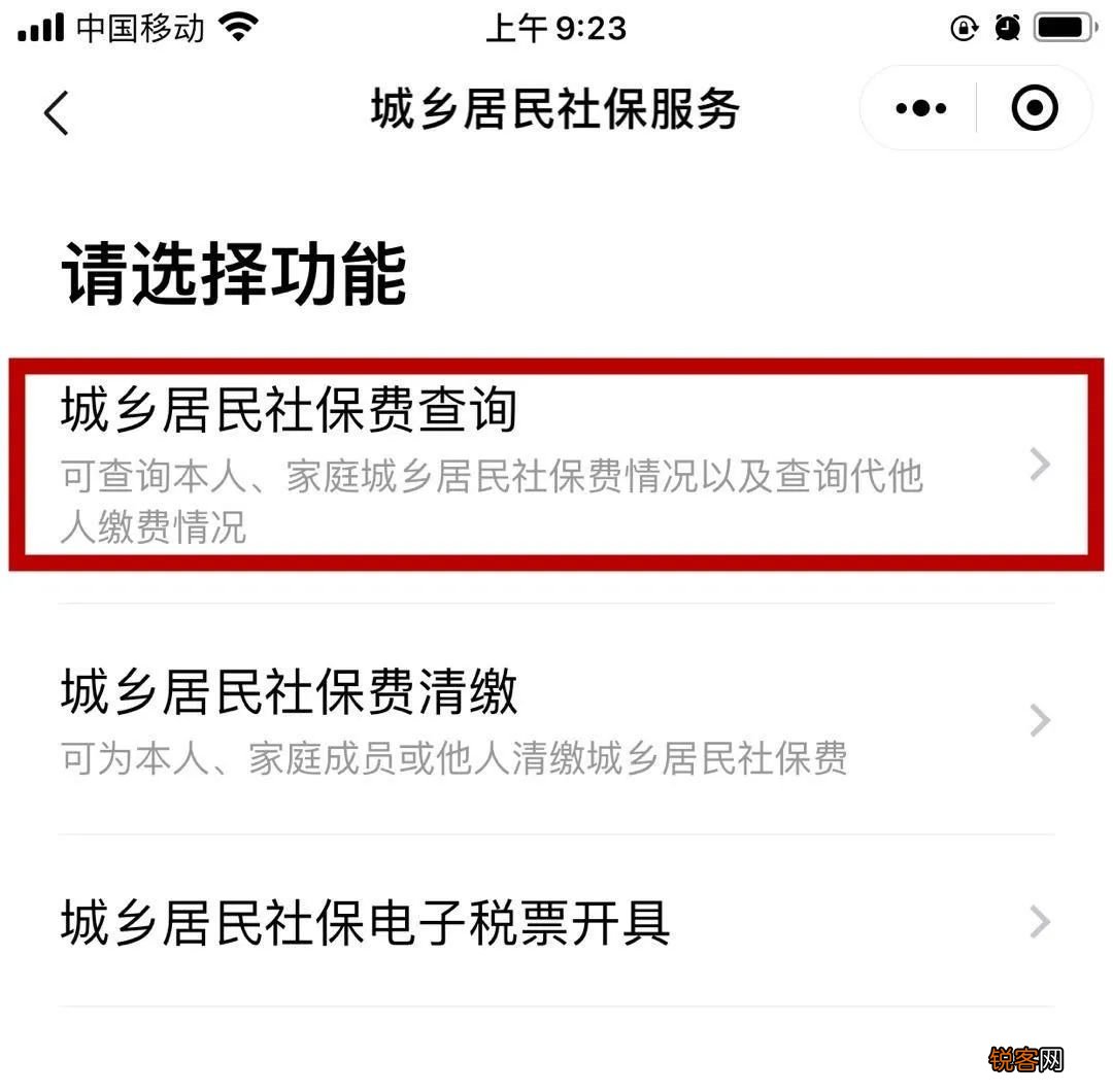 渠道+流程 湛江城乡养老保险缴费怎么查询