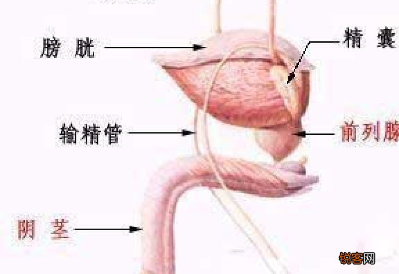 前列腺炎愈后怎么保健 前列腺炎好了会复发吗