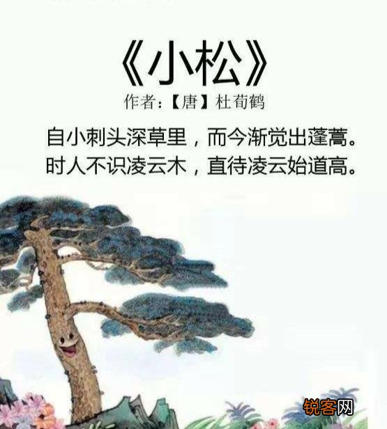 “时人不识凌云木,直待凌云始道高”,这首《小松》什么深意？
