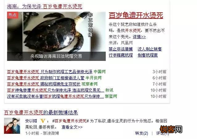 广西查38只玳瑁价值百万,玳瑁为啥这么值钱？