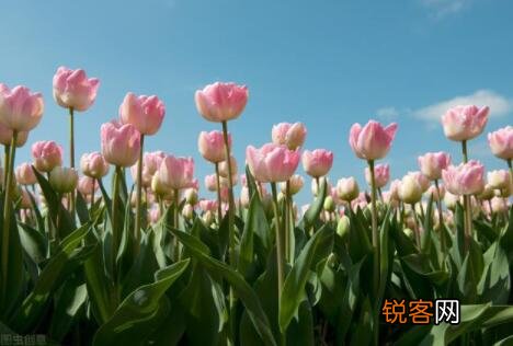 女装抖音文案怎么写吸引人 抖音风景文案怎么写吸引人