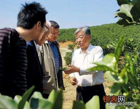 我想说33岁努力奋斗不晚,你们认为呢？