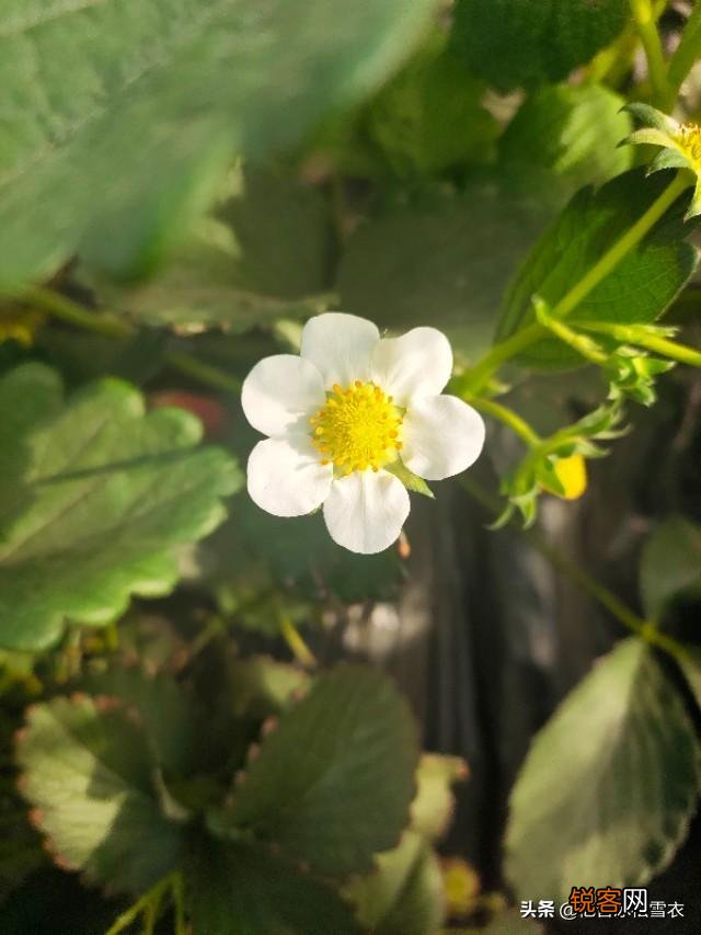 我想说33岁努力奋斗不晚,你们认为呢？