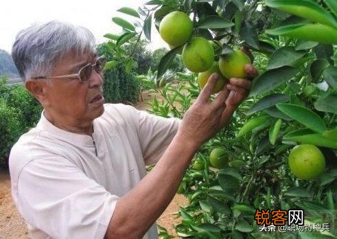 我想说33岁努力奋斗不晚,你们认为呢？