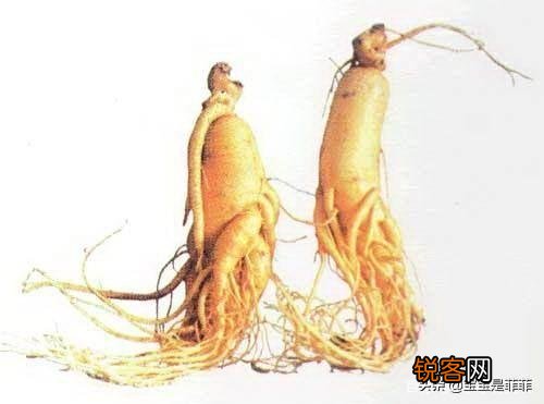 有哪些你自以为很便宜,实际上很贵的东西？