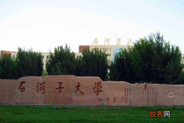像新疆大学,石河子大学这样的211学校毕业后能进华为这样的大公司吗？