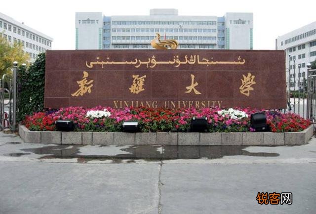 像新疆大学,石河子大学这样的211学校毕业后能进华为这样的大公司吗？
