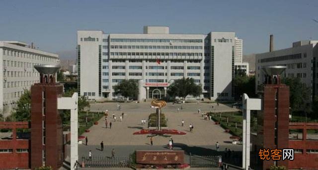 像新疆大学,石河子大学这样的211学校毕业后能进华为这样的大公司吗？