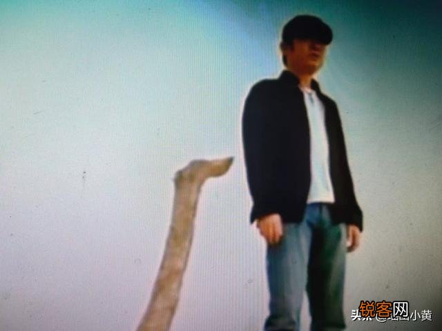有哪些比较悲伤的歌？