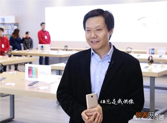 任正非和雷军,华为和小米,说说你对他们的评价？