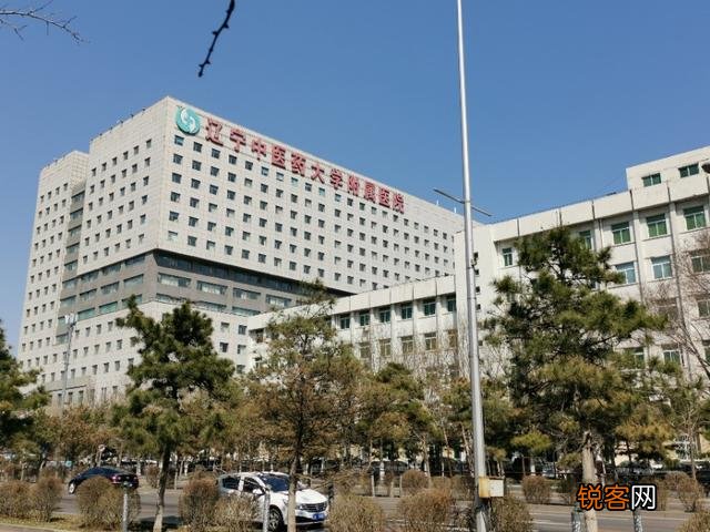 你认为沈阳是否是一座繁华的城市？为什么？