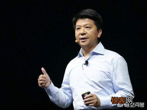 华为除了任正非以外,最具影响力的人是谁？你认为谁担当华为的第二任头狼比较合适？为什么？
