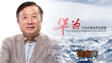 请比较一下台积电的张忠谋和华为的任正非？