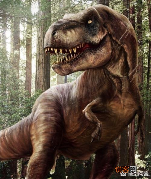 霸王龙是趴着睡觉的吗？