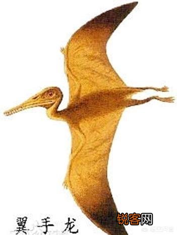 霸王龙休息的时候是坐着还是卧着呢？