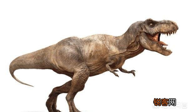 霸王龙属于兽脚类吗？