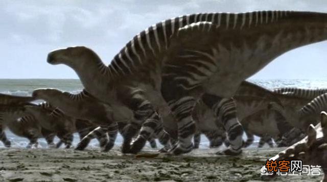 远古时代地球霸主恐龙,是否是群居的？