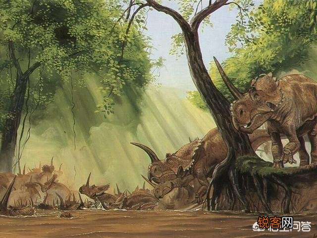 远古时代地球霸主恐龙,是否是群居的？