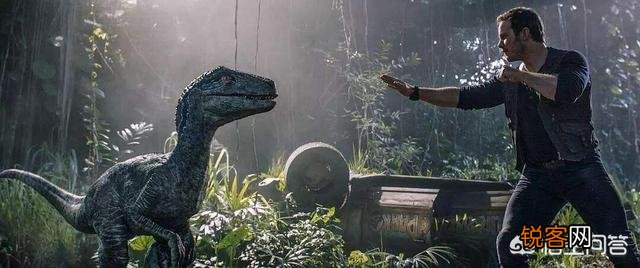 远古时代地球霸主恐龙,是否是群居的？