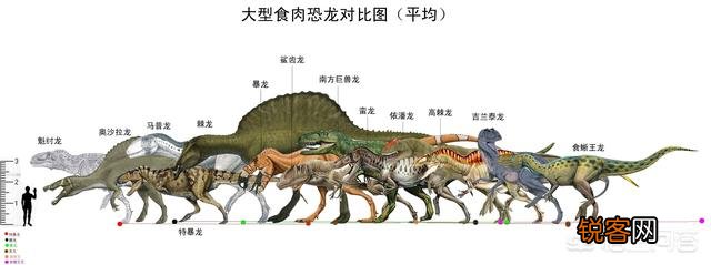 远古时代地球霸主恐龙,是否是群居的？