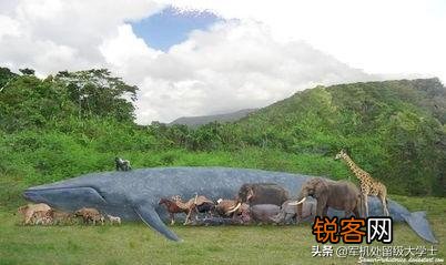 如果霸王龙生活在非洲草原会是什么样？