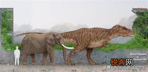 如果霸王龙生活在非洲草原会是什么样？