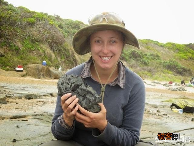 澳大利亚古生物学家新发现的霸王龙表亲物种有何特点？