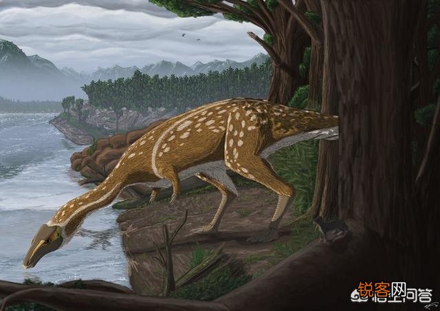 澳大利亚古生物学家新发现的霸王龙表亲物种有何特点？