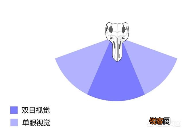 霸王龙厉害在哪？