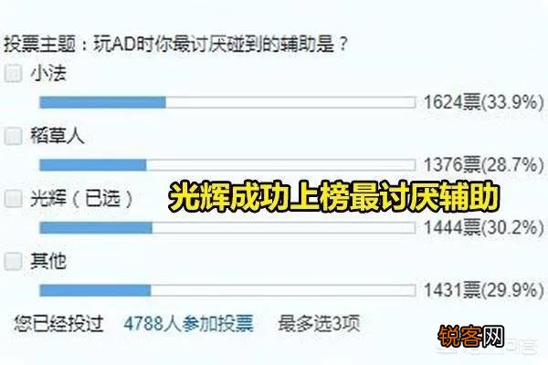 LOL“最烦人的辅助翻身”,手长输出高却被嫌弃,玩家新套路救了她,如何操作呢？