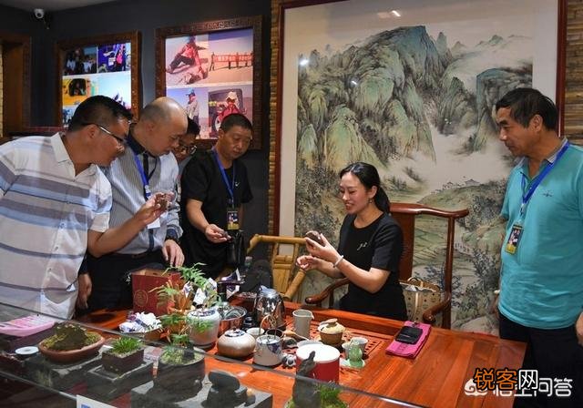 你在捡奇石过程中,捡到过狗头金、陨石吗,捡到的最贵物品是什么？