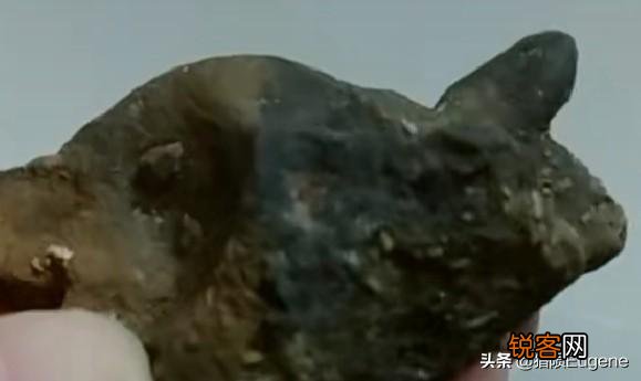 你在捡奇石过程中,捡到过狗头金、陨石吗,捡到的最贵物品是什么？