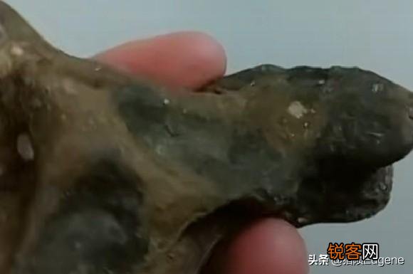 你在捡奇石过程中,捡到过狗头金、陨石吗,捡到的最贵物品是什么？