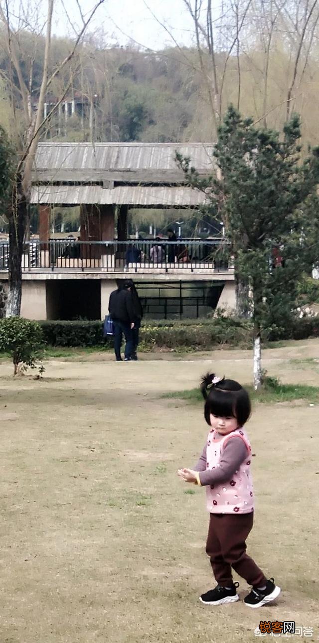 如果去野外尬游,运气好捡到十几公斤重狗头金或是几十斤重陨石,怎么处理？