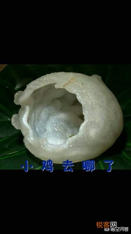 如果去野外尬游,运气好捡到十几公斤重狗头金或是几十斤重陨石,怎么处理？