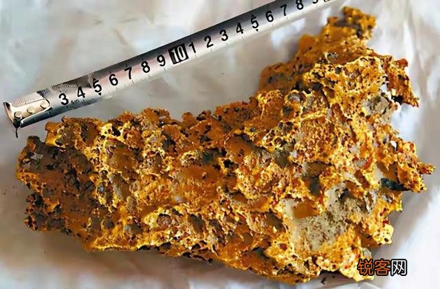 捡到狗头金,需要上交国家吗？上交国家有奖励吗？