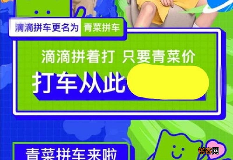 青菜拼车最多同时拼几单