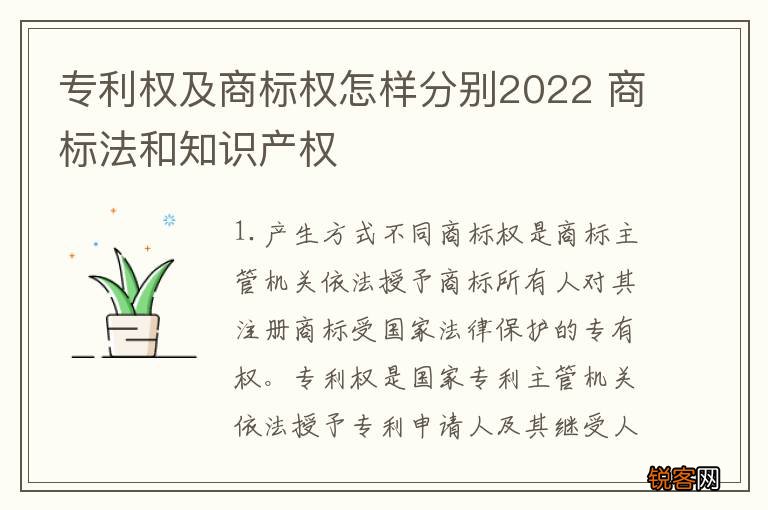 专利权及商标权怎样分别2022 商标法和知识产权