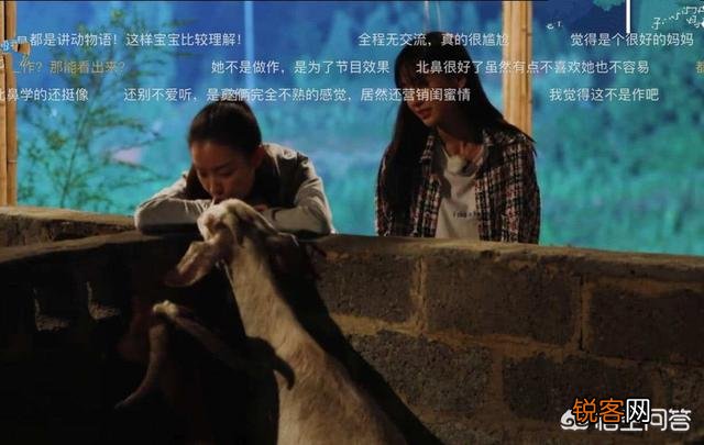 哪些明星在娱乐节目中制造的“车祸现场”,让你觉得惨不忍睹？