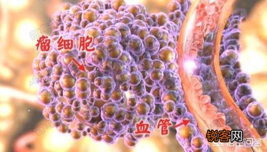 为什么这么多的专家、博士、大夫依旧治不好癌症？
