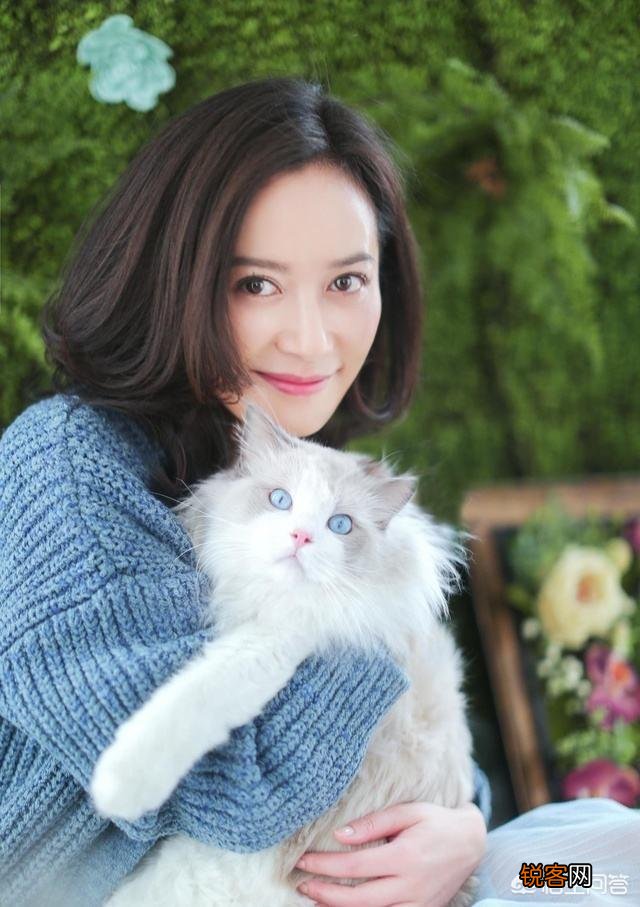 娱乐圈有哪些把一切看得通透或活得明白的女艺人？