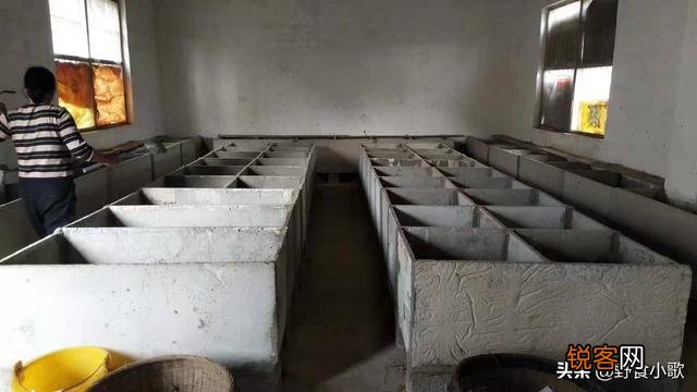 目前有没有养殖兔子的,说一下市场行情如何？利润如何？