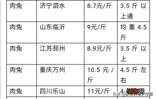 农村养殖兔子目前有没有发展前景？销路怎么样？多少钱？