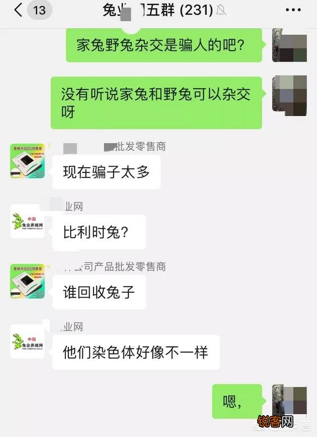 想养殖1000只野兔,需要投资多少钱？需要多大的山林面积？